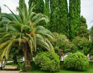 Дом отдыха "Им. Челюскинцев"