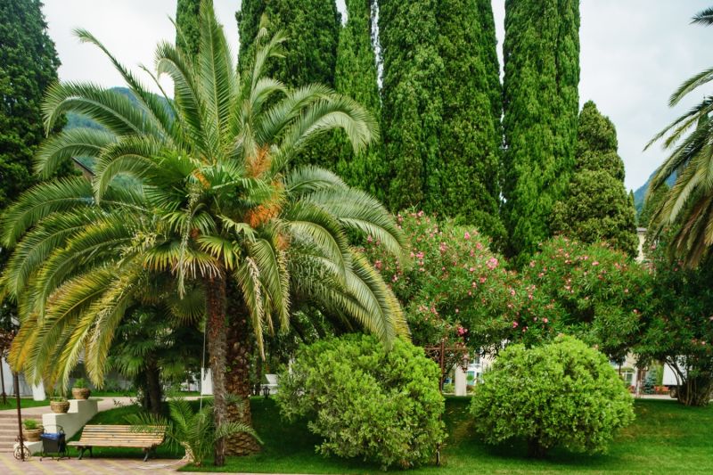 Дом отдыха "Им. Челюскинцев"