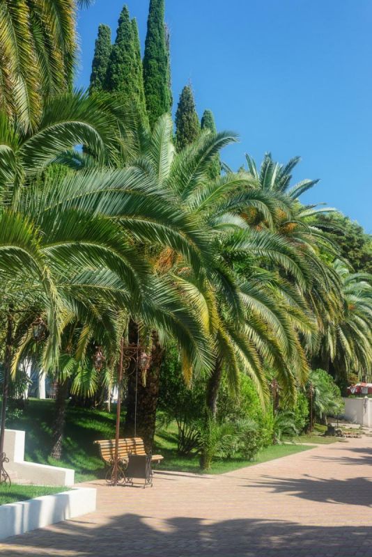 Дом отдыха "Им. Челюскинцев"